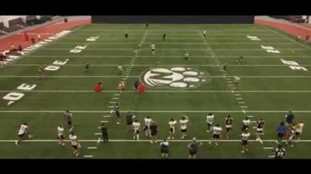 Peyton Carder - Northwest Missouri State University смотреть онлайн