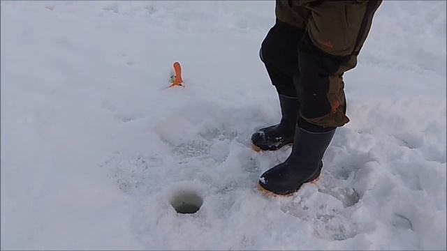 Морозный, солнечный день и отличный клёв форели. Клёвое место, Лосиный остров. смотреть онлайн