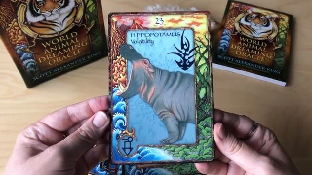 World Animal Dreaming Oracle Deck Unboxing and First Impressions смотреть онлайн
