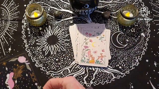 L'Oracle Sorcière de la Lune ( Moon witch) de Cosmic Valéria #oracle #lune смотреть онлайн