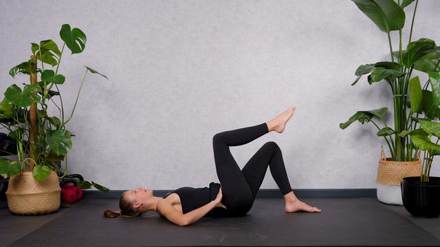 30 MIN FULL BODY PILATES WORKOUT FOR BEGINNERS (No Equipment) смотреть онлайн