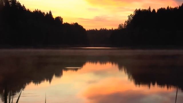 РАННЕЕ УТРО, ПРИРОДА БЕЛАРУСИ. смотреть онлайн