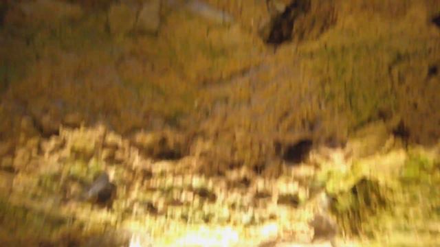 #16 Руины Замка Alt-Ehrenfels/Burgruine Alt-Ehrenfels/Ruins of Alt-Ehrenfels Castle смотреть онлайн