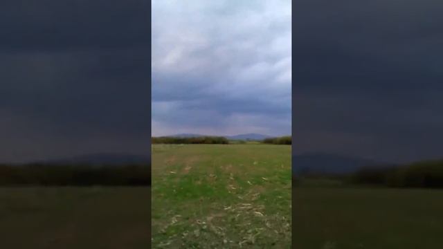 Поездка на мотоблоке Калуга смотреть онлайн