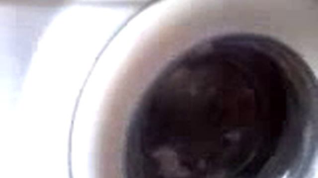 Video0096 смотреть онлайн