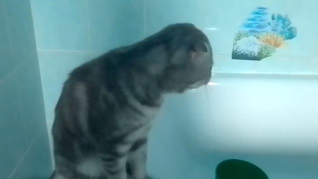 ага не любят воду смотреть онлайн