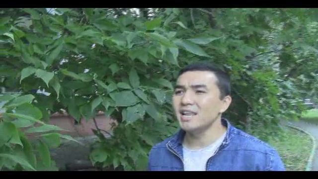 Sanat - Где пикируют ветра