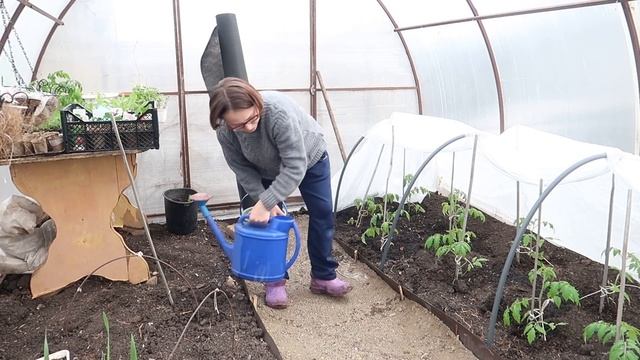 #ВЛОГ Поступила в институт...огородных девиц. Рассада цветов. Что привезли из города. Мои петунии смотреть онлайн