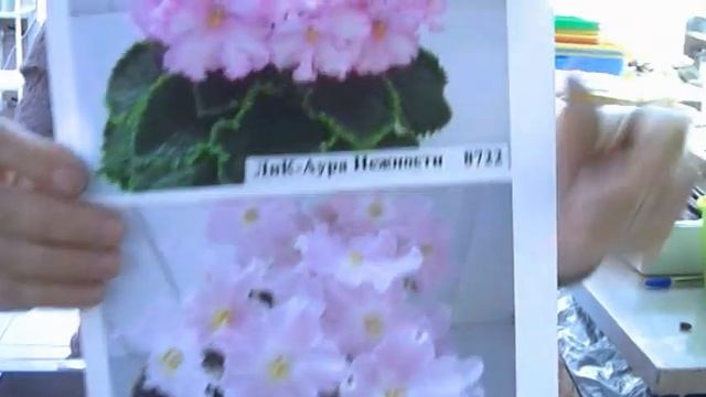 ДФ.Презентация новых сортов от Галины Лазаренко (9.10.2022) смотреть онлайн