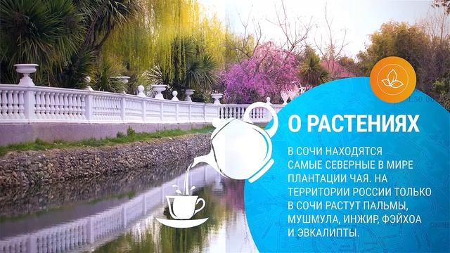 "Ростелеком" в Сочи (цикл "Наши города") смотреть онлайн