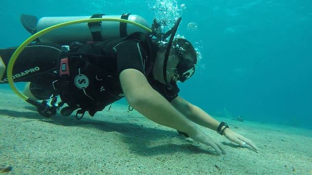 Undercurrent in Red Sea / Течения красного моря смотреть онлайн