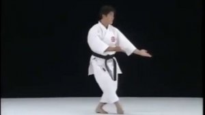 Шито-рю каратэ.Ката Годзюшихо и бункай.Gojyusihiho bunkai kata Shito ryu karate