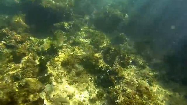GoPro] Scuba Diving in Armação de Pêra, Portugal смотреть онлайн