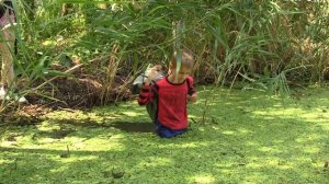 Опасная трясина. Болото. Гиблое место