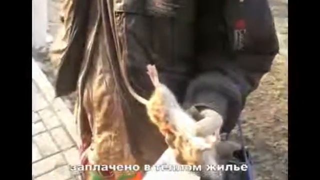 Самые угарные бабки сети умора смотреть онлайн