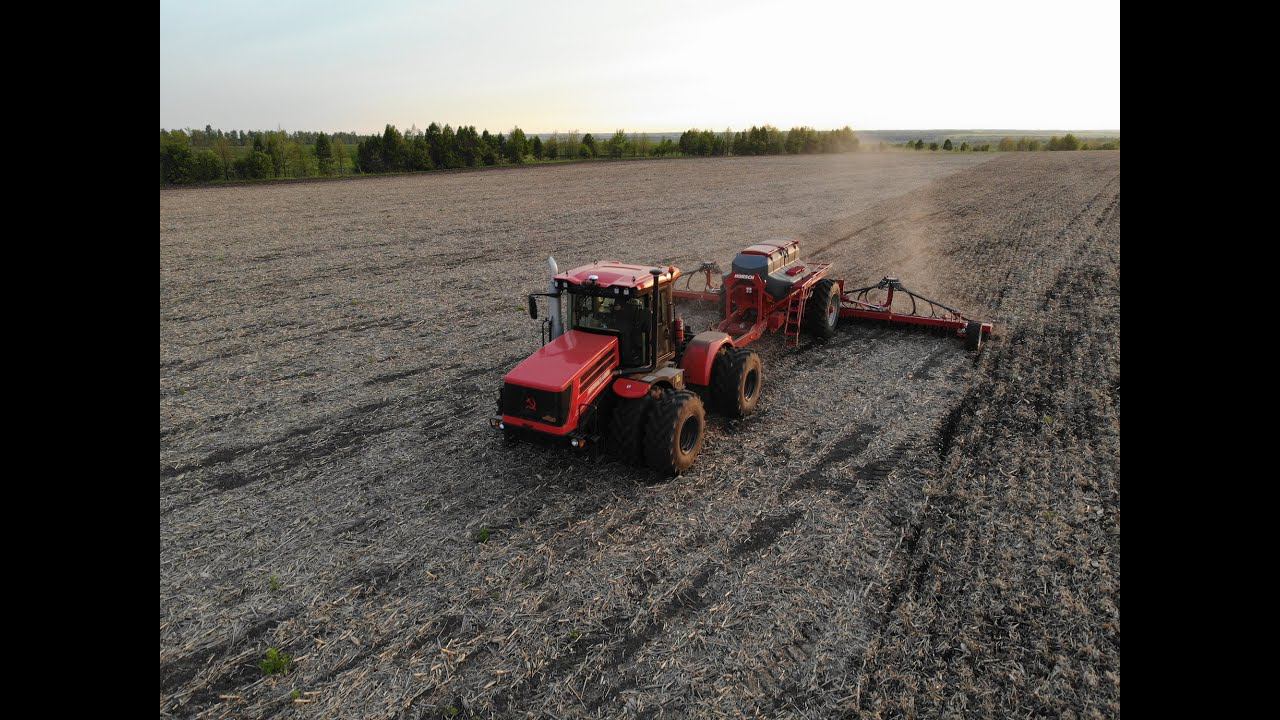 Кировец К-525 . Сеялка Horsch Avatar 1225 SD. прямой посев гороха по кукурузе но-тилл смотреть онлайн