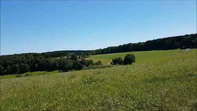 Мы снова в лесу, на озере и в кафе, возле Ольпе смотреть онлайн