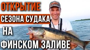 Открытие сезона судака на Финском заливе.