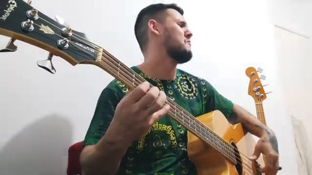 Gustavo Borges - Whatever You Want Babe ( Nazareth - Bass Cover ) смотреть онлайн