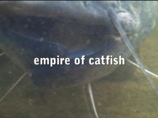Empire Of Catfish. Владения сома. Подводные съёмки сомов. Сом. Euro-som.de Team