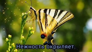 С первым Днем Лета! 1 июня 2023! Ура, Лето! Лучшее Музыкальное Поздравление с началом Лета 2023!