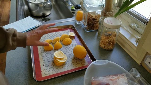 Freezing Citrus Whole And Pieces