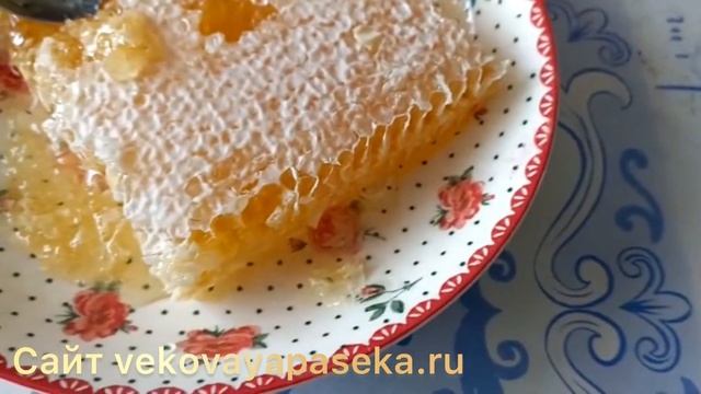 Мед в сотах- чем он так полезен и как его правильно кушать #вековаяпасека