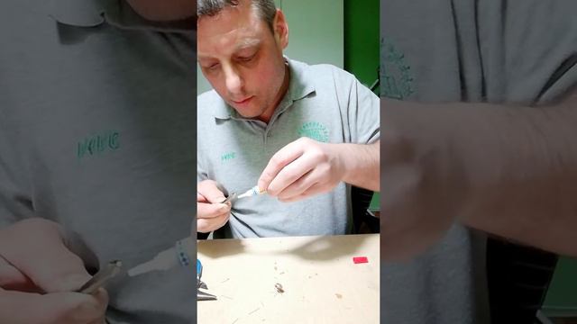 Жук из семечки смотреть онлайн