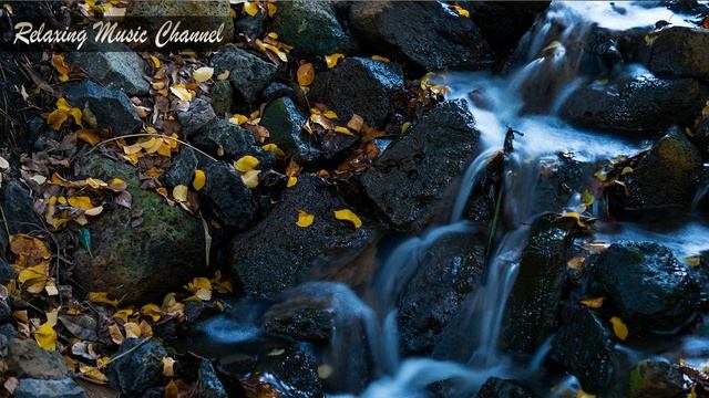 Хорошая Музыка, Расслабляющая для Души, Релаксации и Сна: Слушать Музыку Природы Онлайн для Отдыха смотреть онлайн