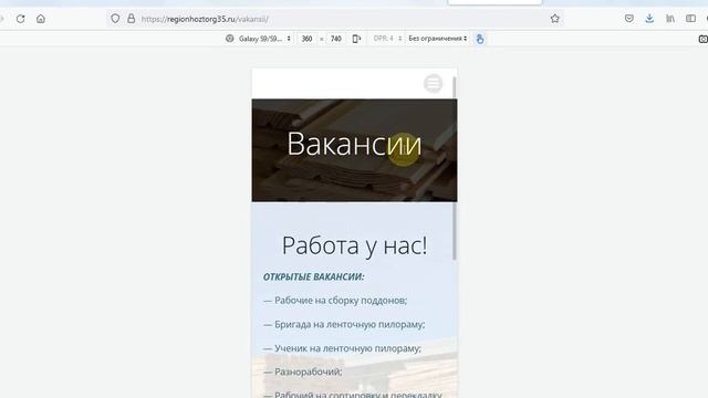 Создание сайта на заказ, видеообзор результата regionhoztorg35.ru смотреть онлайн