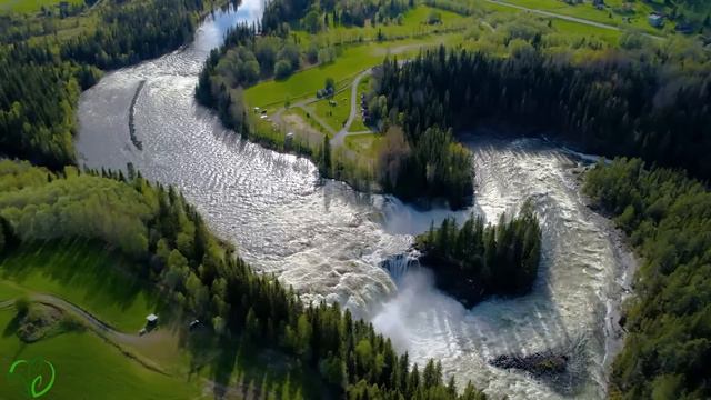 Успокаивающая музыка для нервов 🌿 лечебная музыка для сердца и сосудов, релакс, музыка для души #22 смотреть онлайн