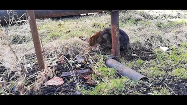 ночовка в летнем дачном домике в марте смотреть онлайн