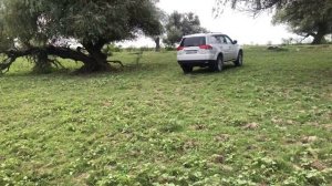 СРАЗУ ПО ДВА САЗАНА НА ОДНУ УДОЧКУ / ВОТ ЭТО РЫБАЛКА В АСТРАХАНИ