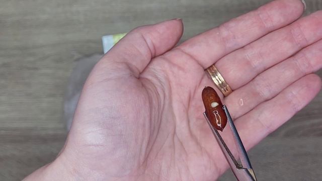 Пальма Вашингтонія.Фініки пророщую тільки так! смотреть онлайн