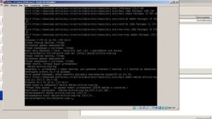 Astra Linux Интерфейс командной строки и установка LDXE окружения