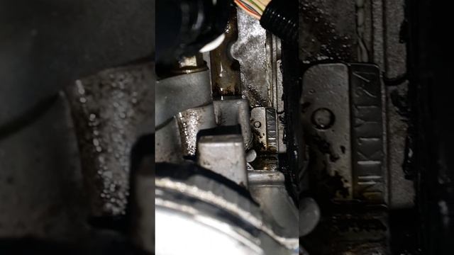 Mysterious oil leak on 1992 Honda Accord LX. WHERE IS IT COMING FROM? смотреть онлайн