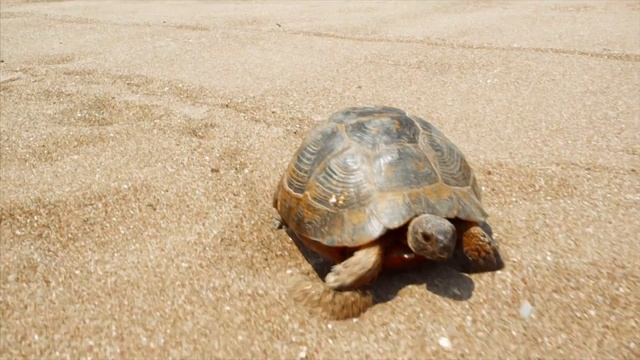 География - турагенство хоть куда смотреть онлайн