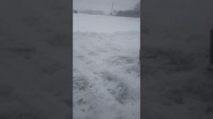 мотоблок зубр,, чистим снег,,