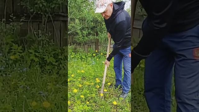 Из лопаты самоделка удалитель сорняков с длинным корнем #tool #diy #самоделка #идея смотреть онлайн