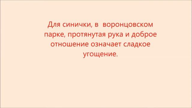 Походы по Крыму.O животных. смотреть онлайн