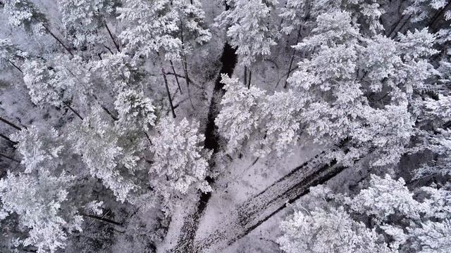 LIZER — Пачка сигарет