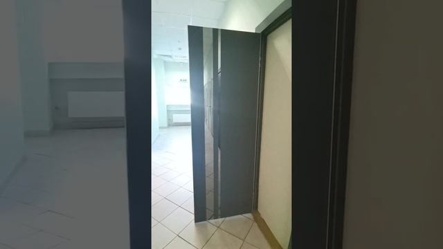 Двери лофт в цвете Графит Premium со скрытыми петлями