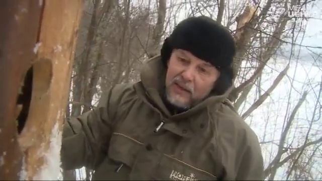 В национальном парке "Русский Север" привлекают уток гоголятниками смотреть онлайн