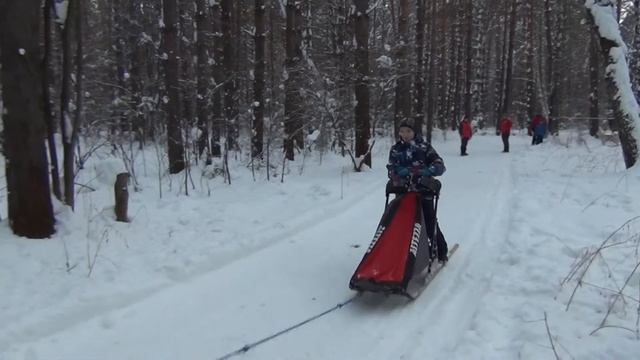 Поездка в ХАСКИ ЛЭНД! Катаемся на собаках! ВЛОГ смотреть онлайн