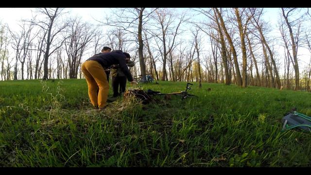 forest timelaps смотреть онлайн