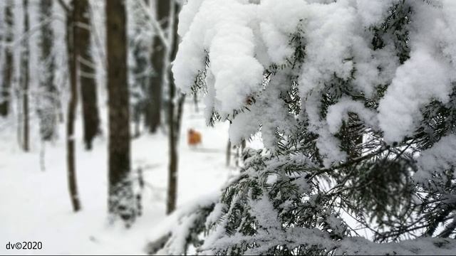 winter2020 смотреть онлайн