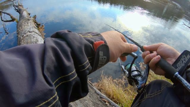 Щука поздней ОСЕНЬЮ на малой реке. Рыбалка с ночевкой на сломе погоды. Новые места. #ПУХоваРыбалка смотреть онлайн