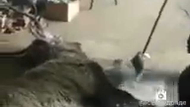 Мужики спасли оленя который провалился под лед.Советую посмотреть смотреть онлайн