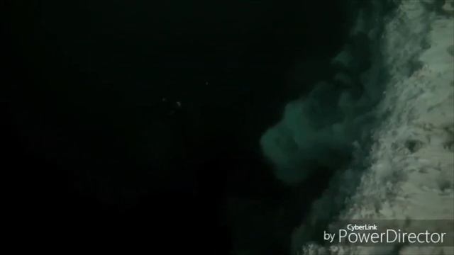 AWESOME MARIANA TRENCH VEDIO CLIP смотреть онлайн