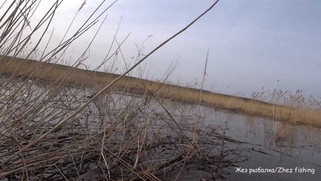 Ловля карася в Мае. Рыбалка на поплавок. смотреть онлайн